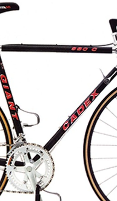 giant bicycles subsidiaries GIANT GROUP